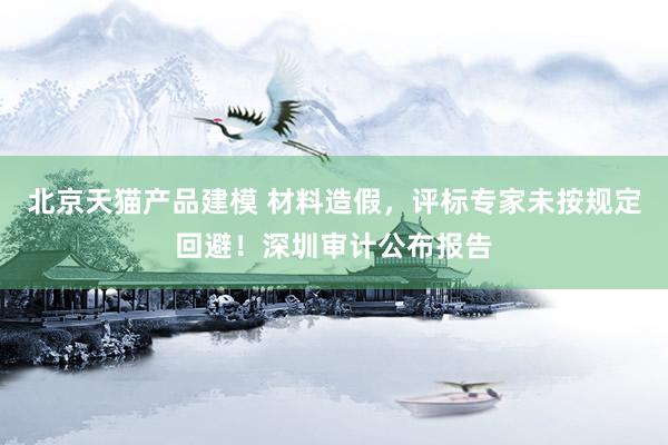 北京天猫产品建模 材料造假，评标专家未按规定回避！深圳审计公布报告