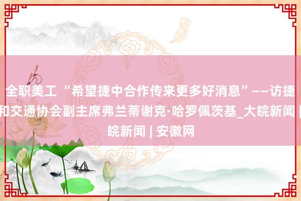 全职美工 “希望捷中合作传来更多好消息”——访捷克工业和交通协会副主席弗兰蒂谢克·哈罗佩茨基_大皖新闻 | 安徽网